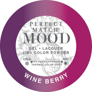 Lechat Perfect Match Mood Duo - 049 Wine Berry