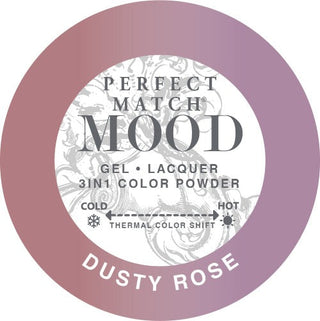 Lechat Perfect Match Mood Powder - 061 Dusty Rose