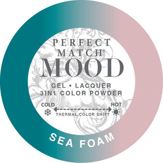 Lechat Perfect Match Mood Duo - 064 Sea Foam